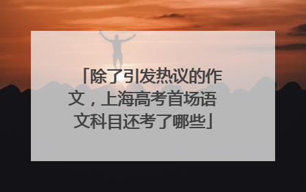 除了引发热议的作文，上海高考首场语文科目还考了哪些