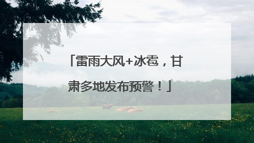 雷雨大风+冰雹，甘肃多地发布预警！