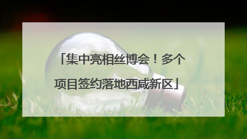 集中亮相丝博会！多个项目签约落地西咸新区