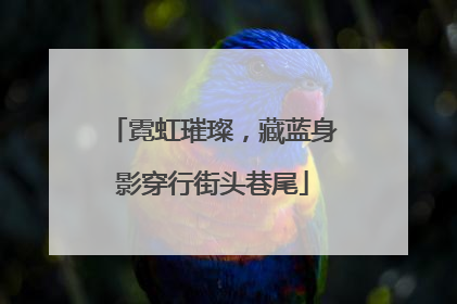 霓虹璀璨，藏蓝身影穿行街头巷尾