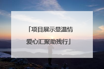 项目展示显温情 爱心汇聚助残行