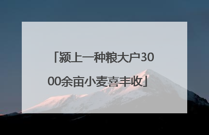 颍上一种粮大户3000余亩小麦喜丰收