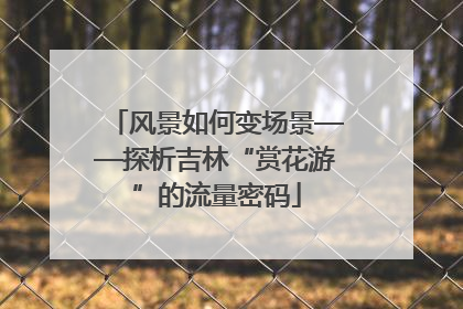 风景如何变场景——探析吉林“赏花游”的流量密码