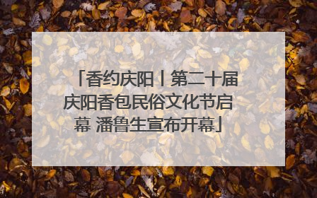 香约庆阳丨第二十届庆阳香包民俗文化节启幕 潘鲁生宣布开幕