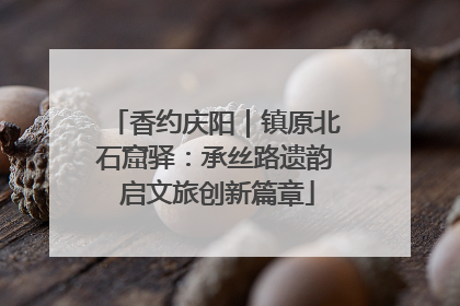 香约庆阳｜镇原北石窟驿：承丝路遗韵 启文旅创新篇章