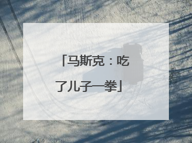 马斯克：吃了儿子一拳