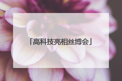 高科技亮相丝博会
