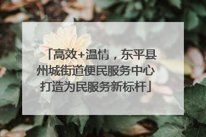 高效+温情，东平县州城街道便民服务中心打造为民服务新标杆