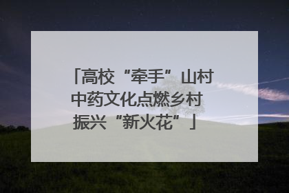 高校“牵手”山村 中药文化点燃乡村振兴“新火花”