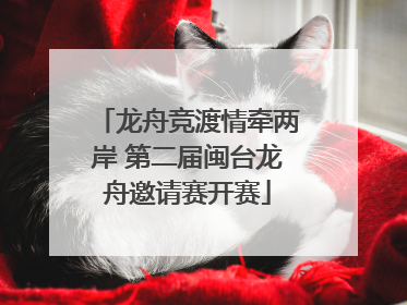 龙舟竞渡情牵两岸 第二届闽台龙舟邀请赛开赛