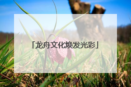 龙舟文化焕发光彩
