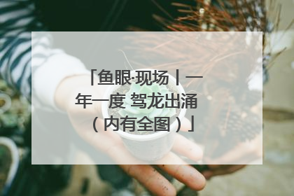 鱼眼·现场丨一年一度 驾龙出涌（内有全图）