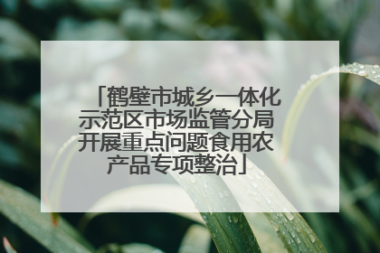 鹤壁市城乡一体化示范区市场监管分局开展重点问题食用农产品专项整治