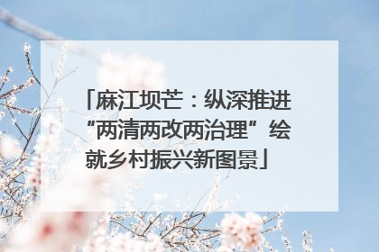 麻江坝芒：纵深推进“两清两改两治理”绘就乡村振兴新图景