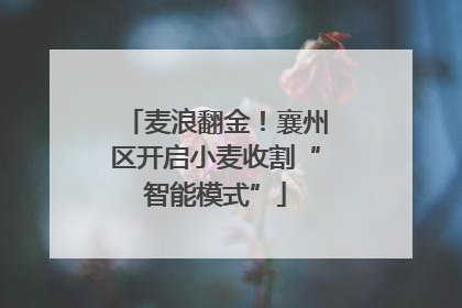 麦浪翻金！襄州区开启小麦收割“智能模式”