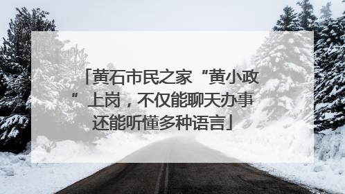 黄石市民之家“黄小政”上岗，不仅能聊天办事还能听懂多种语言