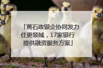 黄石政银企协同发力住更领域，17家银行提供融资服务方案