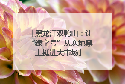 黑龙江双鸭山：让“绿字号”从寒地黑土挺进大市场