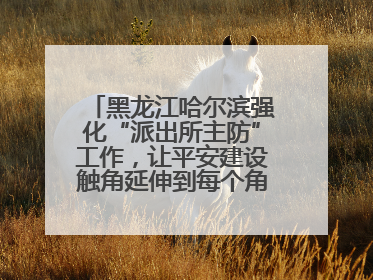 黑龙江哈尔滨强化“派出所主防”工作，让平安建设触角延伸到每个角落……