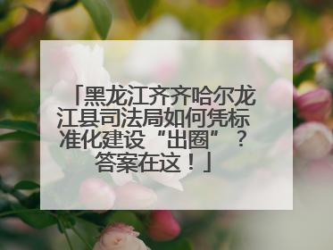 黑龙江齐齐哈尔龙江县司法局如何凭标准化建设“出圈”？答案在这！