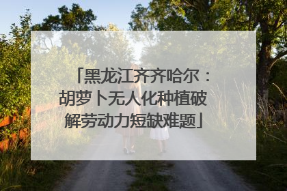 黑龙江齐齐哈尔：胡萝卜无人化种植破解劳动力短缺难题