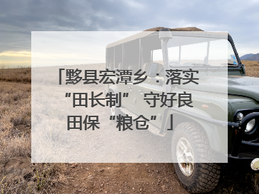 黟县宏潭乡：落实“田长制” 守好良田保“粮仓”