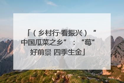 （乡村行·看振兴）“中国瓜菜之乡”：“莓”好前景 四季生金