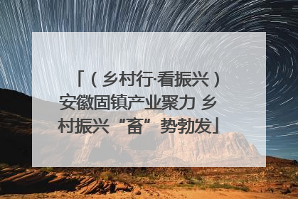 （乡村行·看振兴）安徽固镇产业聚力 乡村振兴“畜”势勃发