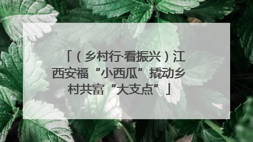 （乡村行·看振兴）江西安福“小西瓜”撬动乡村共富“大支点”