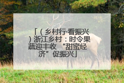 （乡村行·看振兴）浙江乡村：时令果蔬迎丰收 “甜蜜经济”促振兴