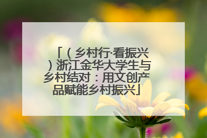 （乡村行·看振兴）浙江金华大学生与乡村结对：用文创产品赋能乡村振兴