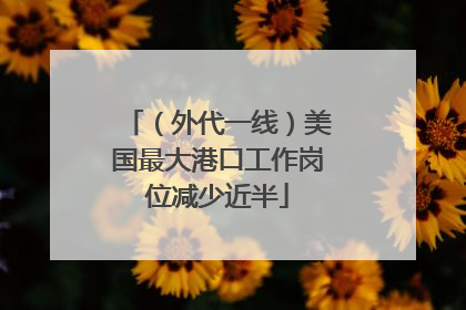 （外代一线）美国最大港口工作岗位减少近半