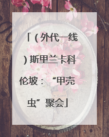 （外代一线）斯里兰卡科伦坡：“甲壳虫”聚会