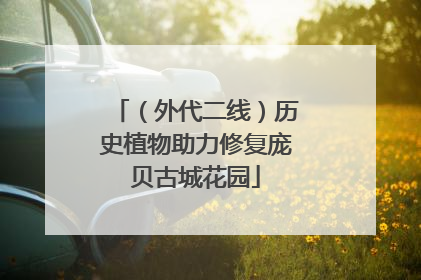 （外代二线）历史植物助力修复庞贝古城花园