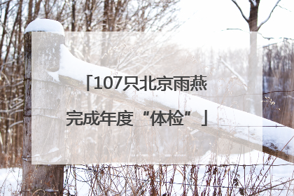 107只北京雨燕完成年度“体检”