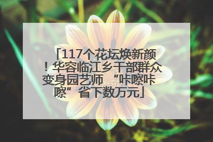 117个花坛焕新颜！华容临江乡干部群众变身园艺师 “咔嚓咔嚓”省下数万元