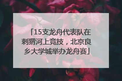 15支龙舟代表队在刺猬河上竞技，北京良乡大学城举办龙舟赛