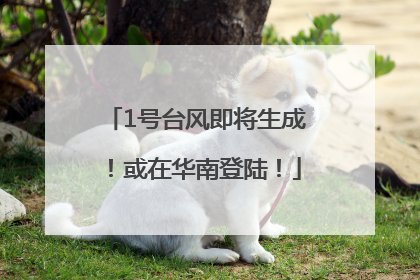 1号台风即将生成！或在华南登陆！