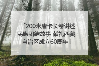 200米唐卡长卷讲述民族团结故事 献礼西藏自治区成立60周年