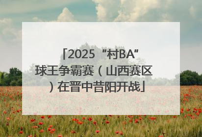 2025“村BA”球王争霸赛（山西赛区）在晋中昔阳开战