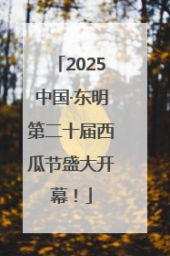2025中国·东明第二十届西瓜节盛大开幕！