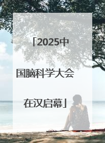 2025中国脑科学大会在汉启幕