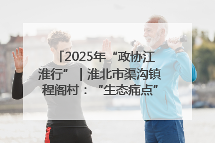 2025年“政协江淮行”｜淮北市渠沟镇程阁村：“生态痛点”变“生态景观”