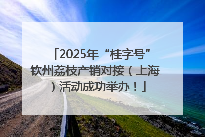 2025年“桂字号”钦州荔枝产销对接（上海）活动成功举办！
