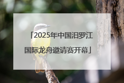 2025年中国汨罗江国际龙舟邀请赛开幕