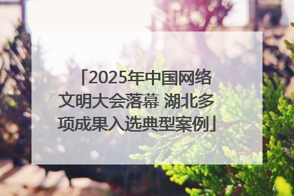 2025年中国网络文明大会落幕 湖北多项成果入选典型案例