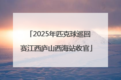 2025年匹克球巡回赛江西庐山西海站收官