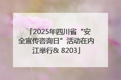 2025年四川省“安全宣传咨询日”活动在内江举行& 8203