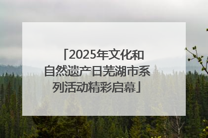 2025年文化和自然遗产日芜湖市系列活动精彩启幕
