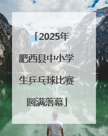 2025年肥西县中小学生乒乓球比赛圆满落幕